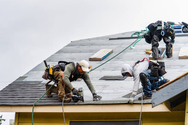 Professional Roofing technician working in Lester, WV